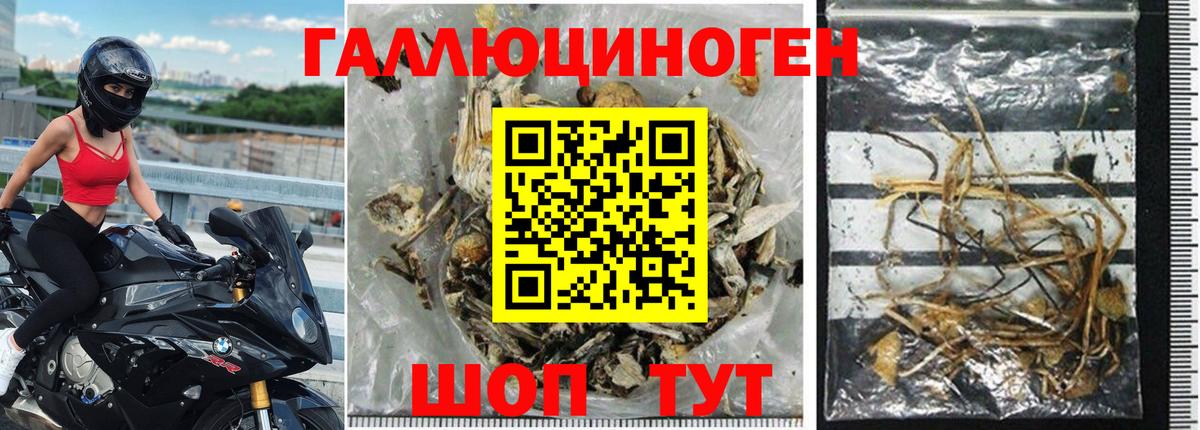 Галлюциногенные грибы мицелий Мирный